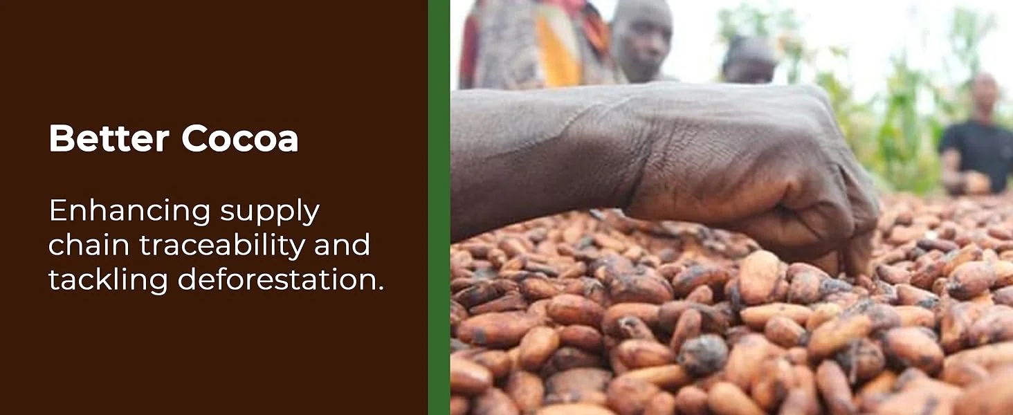 【New User Only】Nestlé Kitkat and Friends Big Biscuit Box | 69 x Chocolate Biscuit Bars – KitKat, Blue Riband, Toffee Crisp | Bulk Chocolate Box 1.357kg X2 boxes