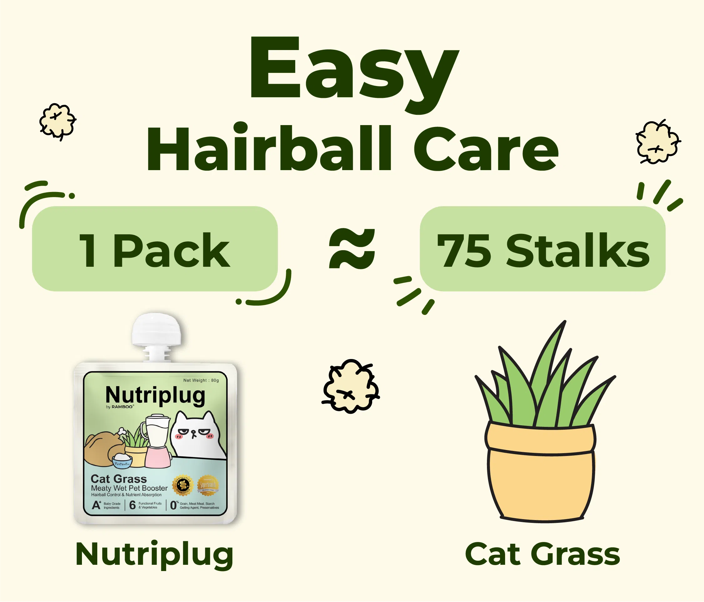 πππππππππ β πππ πππππ πππππ πππ πππππππ